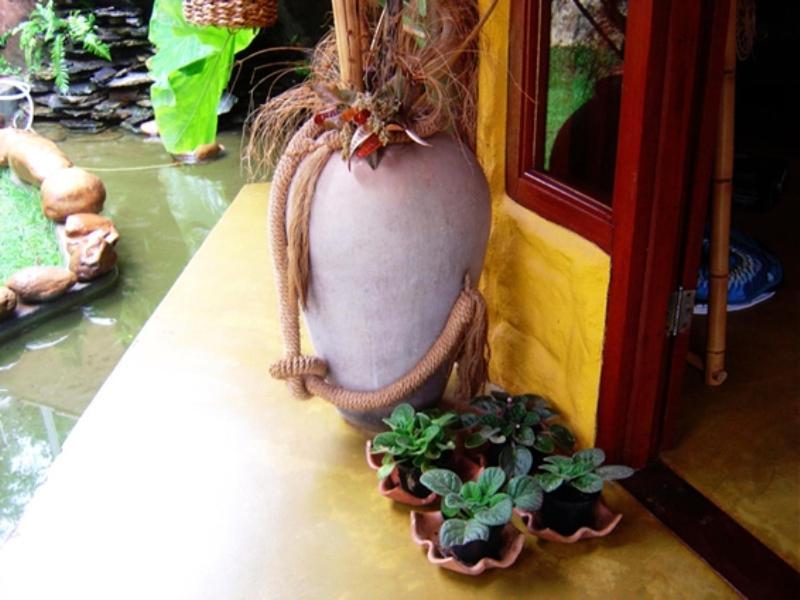 Pousada Bambu Brasil São Jorge 외부 사진